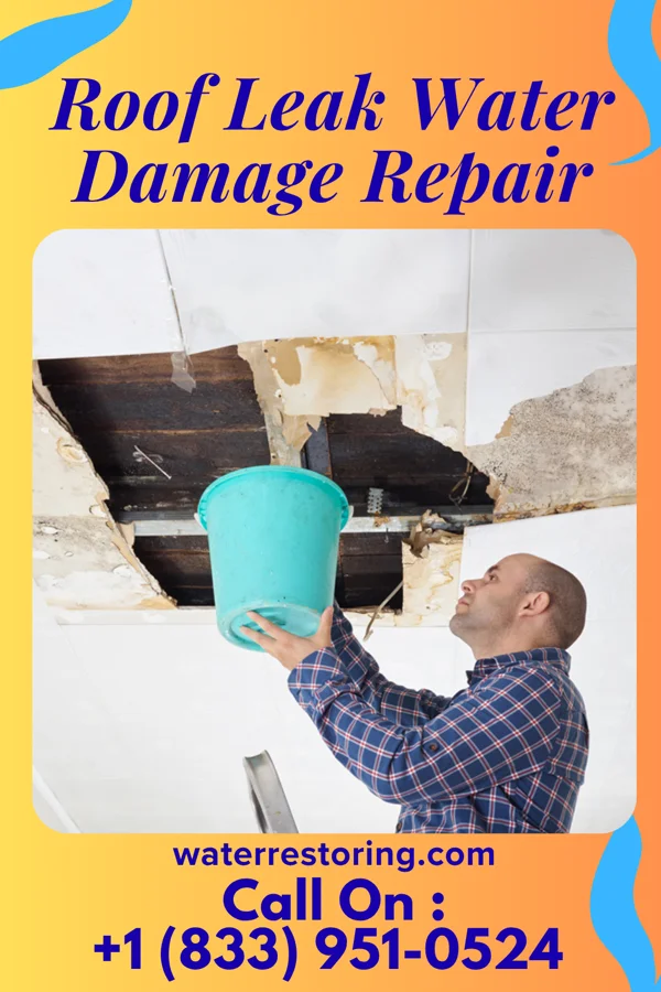 Roof Leak Water Damage Repair in Clyde, KS